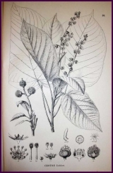 107.jpg