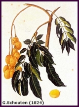 136.jpg