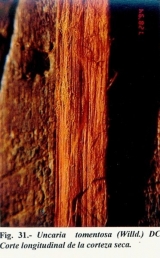 155.jpg