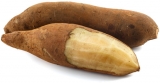 yacon_3.jpg