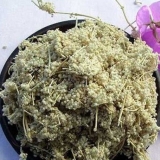 flor-blanca_2.jpg