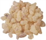 copaiba_7.jpg